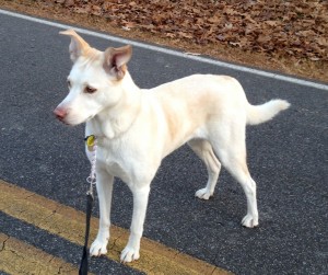 Walking meditation