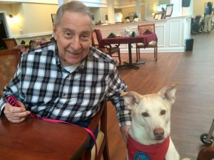 Therapy Dog Roxie