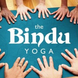 The Bindu
